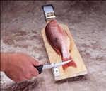 Accusharp SturdyMount Knife Sharpener 004C