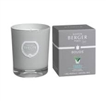 Maison Berger Paris CITRONELLA Candle 6385