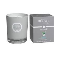 Maison Berger Paris CITRONELLA Candle 6385